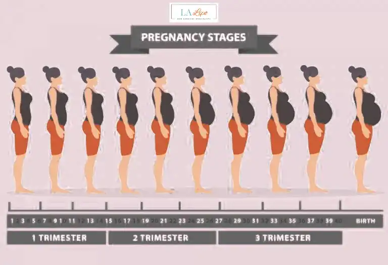 First Trimester (Weeks 1–12): Early Changes You Might Not Notice Lowestoft